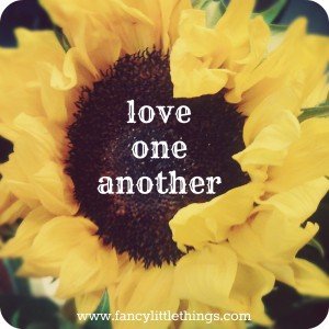 sunflower love