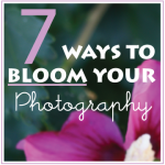 SQUAREbloom