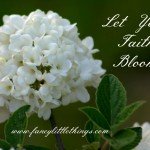 bloom